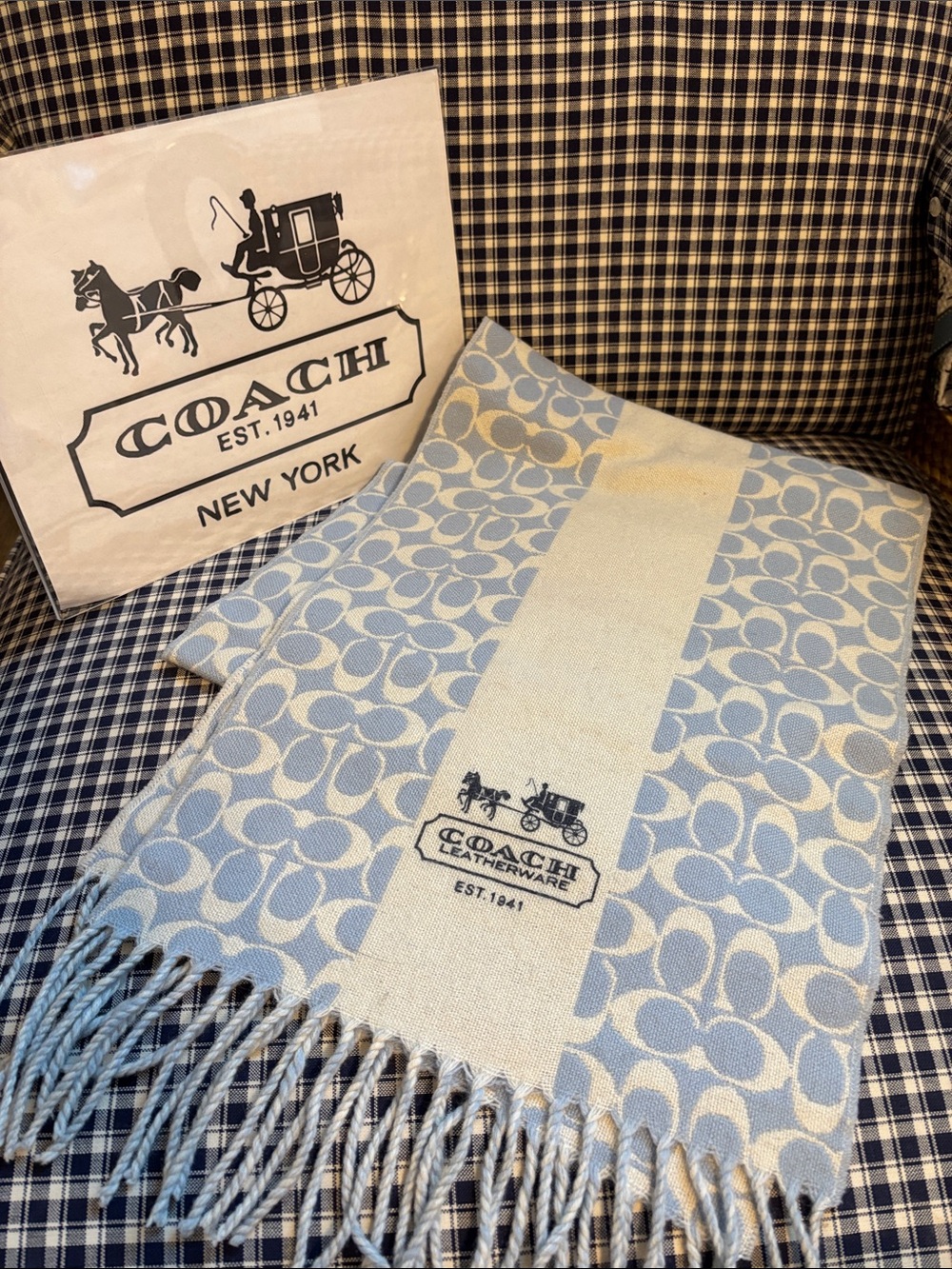 Coach Light Blue & Cream Signature Fringe Scarf - Coach